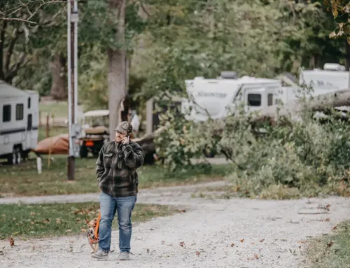 When Tree Damage Strikes Your RV: Expert Repair Solutions